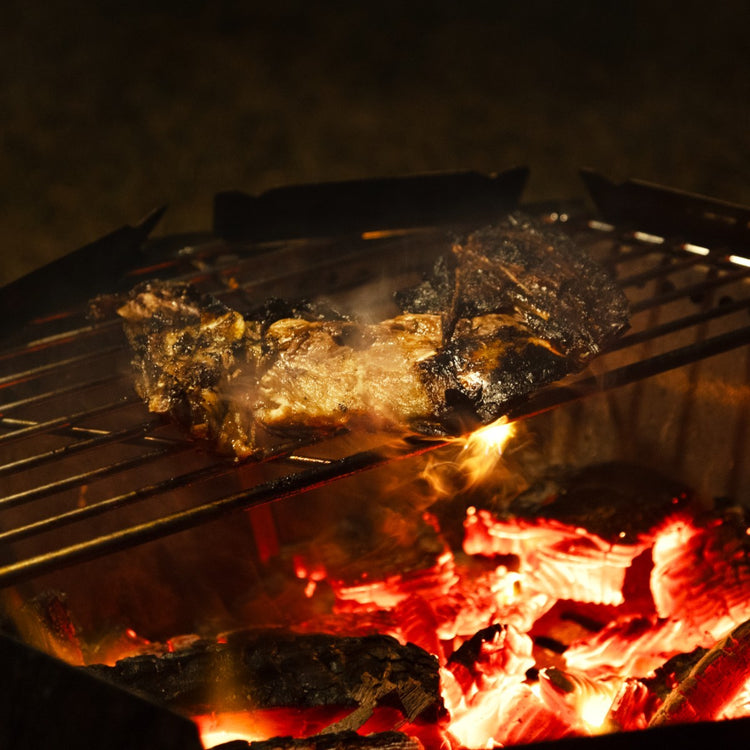 バッドボンファイヤー 五徳 / BBF Grill Grate