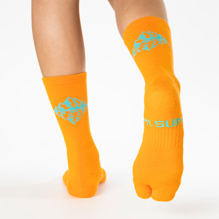 Mt.SUMI ソックス タイプⅡ / Mt.SUMI Sox TⅡ