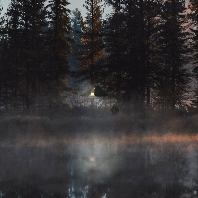 レビタット レビトップ / LEVITAT Levi-Top