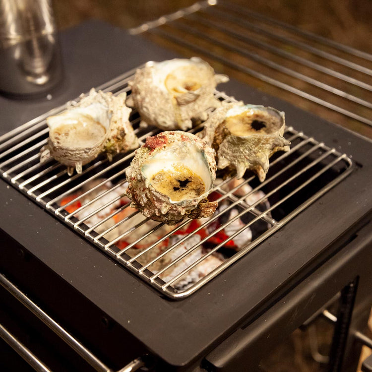 チャコールバスケット (コージー / コンパクト) / Charcoal Basket